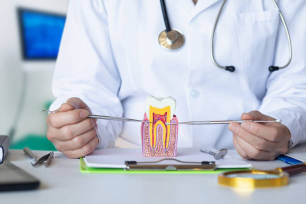 Best Emergency Treatment for Oral Infections in Duryea, PA